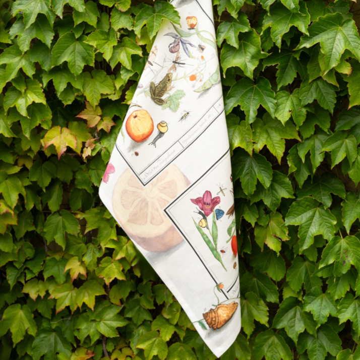 Kitchen Towels «Anselmus», 100% Made in Italy - The Napking