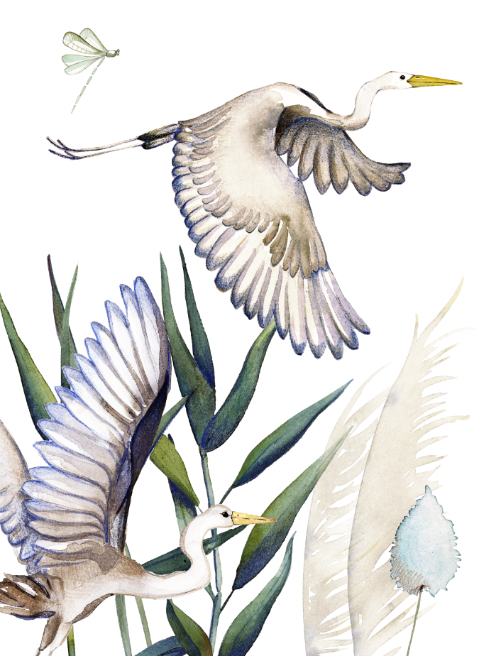 Kitchen Towels «Aironi», 100% Made in Italy - The Napking