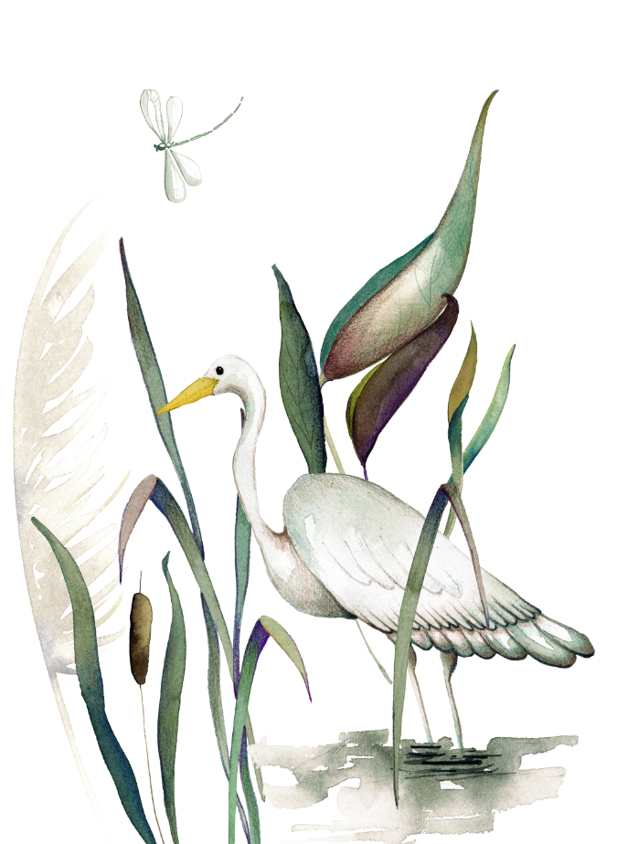 Kitchen Towels «Aironi», 100% Made in Italy - The Napking