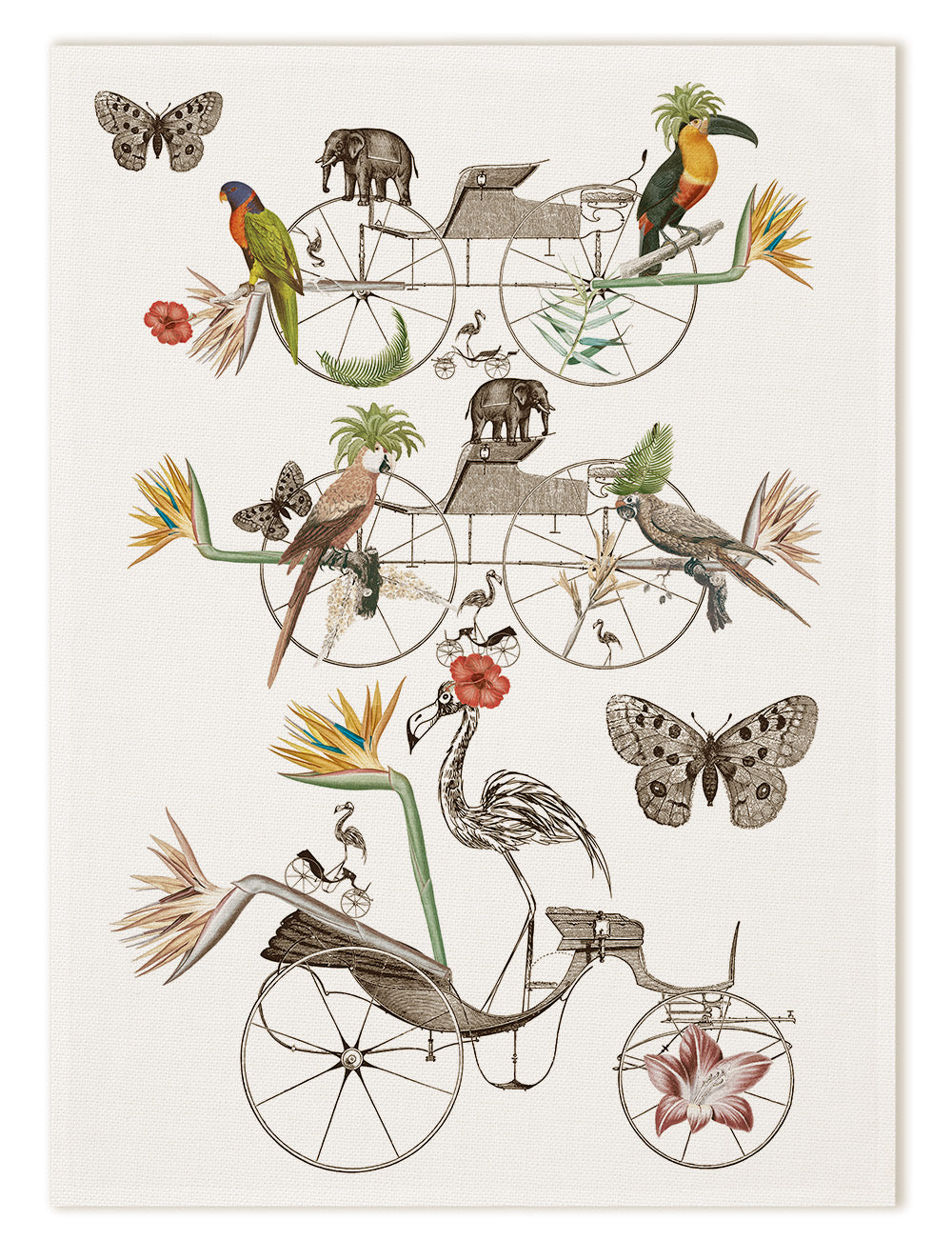 Kitchen Towels «Andrè», 100% Made in Italy