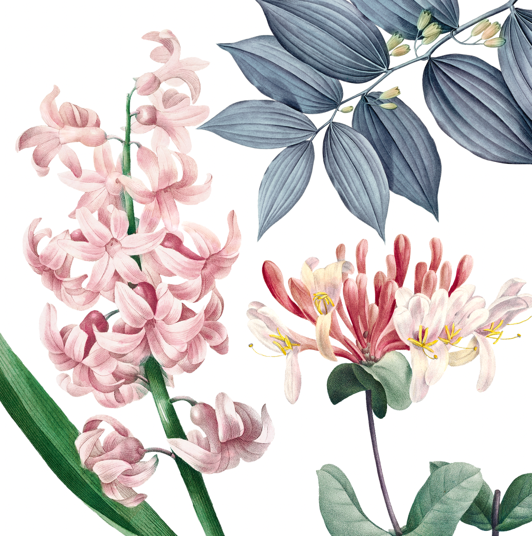 Cushion Bagatelle 100% Made in Italy - The Napking