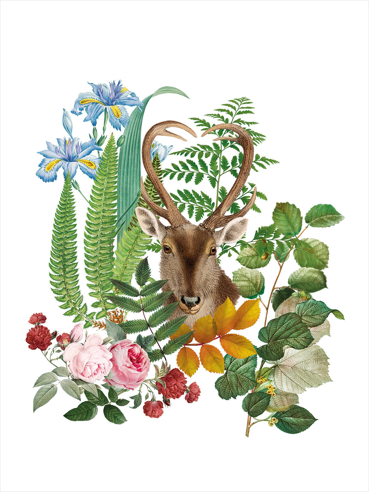 Kitchen Towels Cervi 100% Made in Italy - The Napking