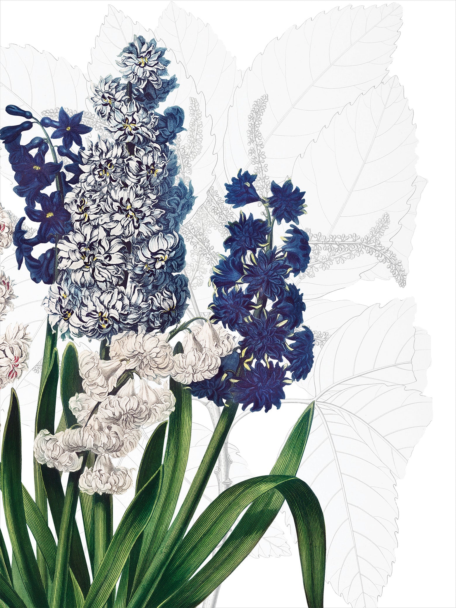 Kitchen Towels Dafne 100% Made in Italy - The Napking