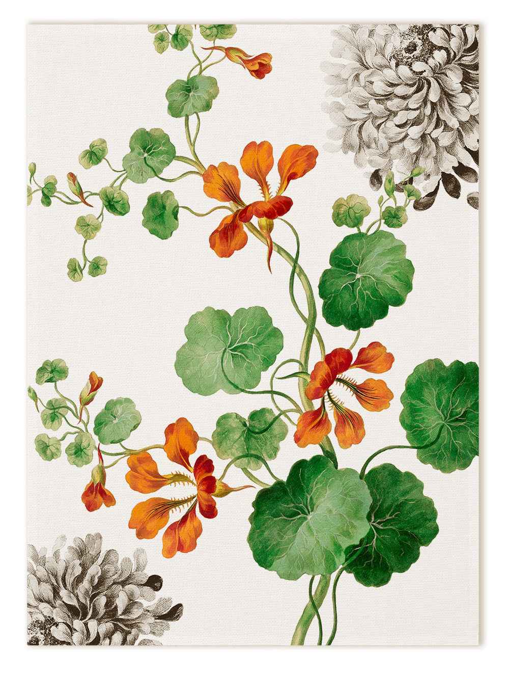 Kitchen Towels «Edward», 100% Made in Italy - The Napking