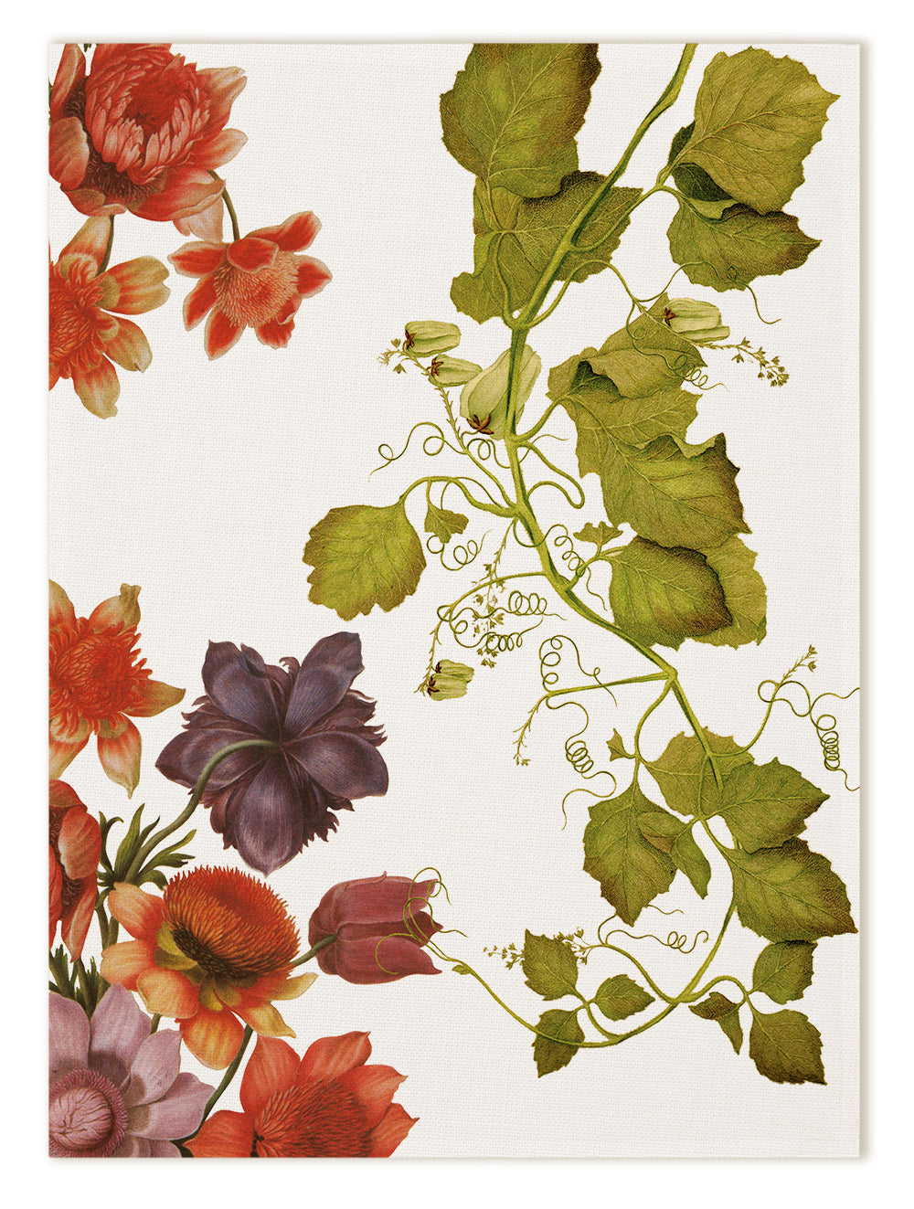 Kitchen Towels «Eidos», 100% Made in Italy - The Napking