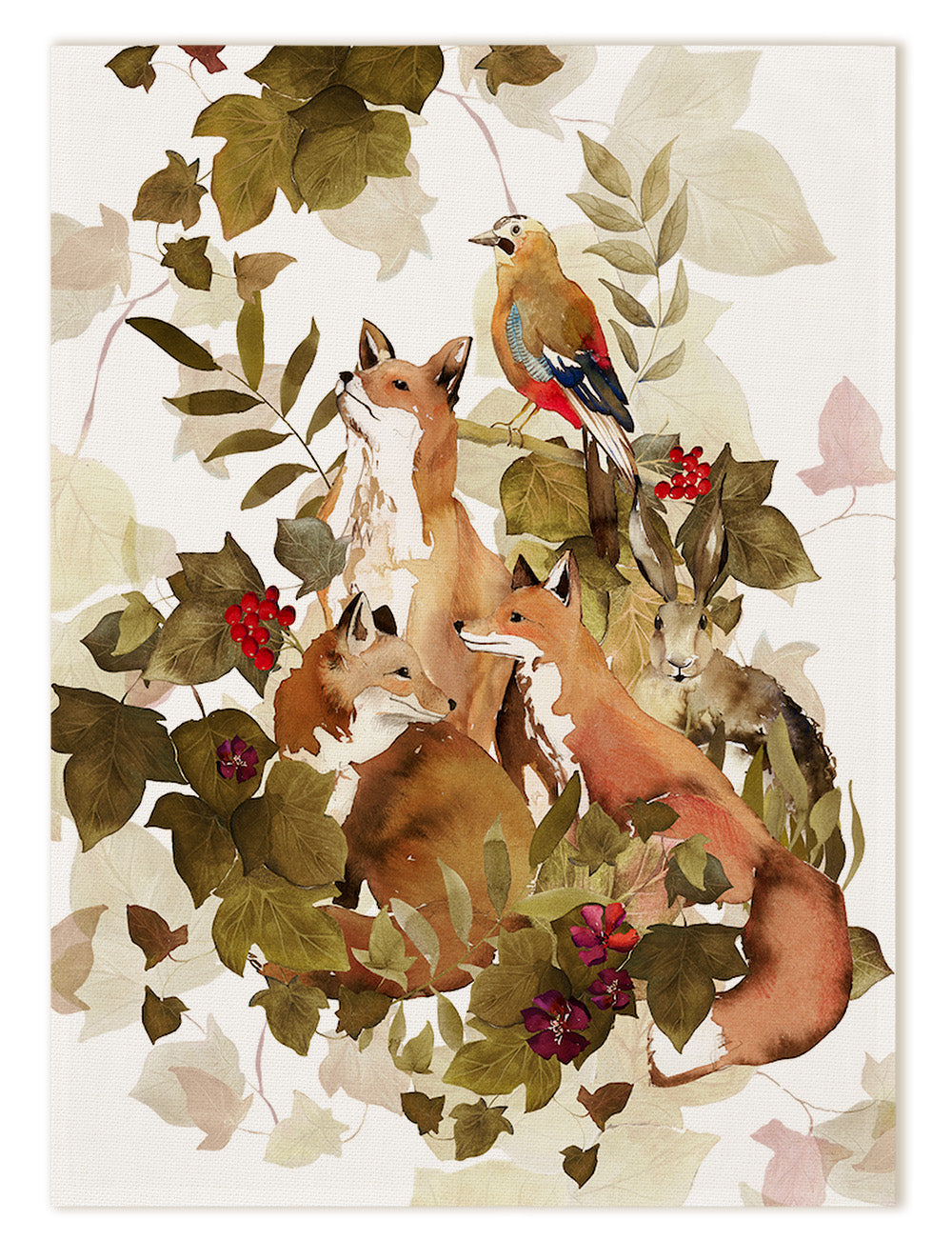 Kitchen Towels «Foxy», 100% Made in Italy