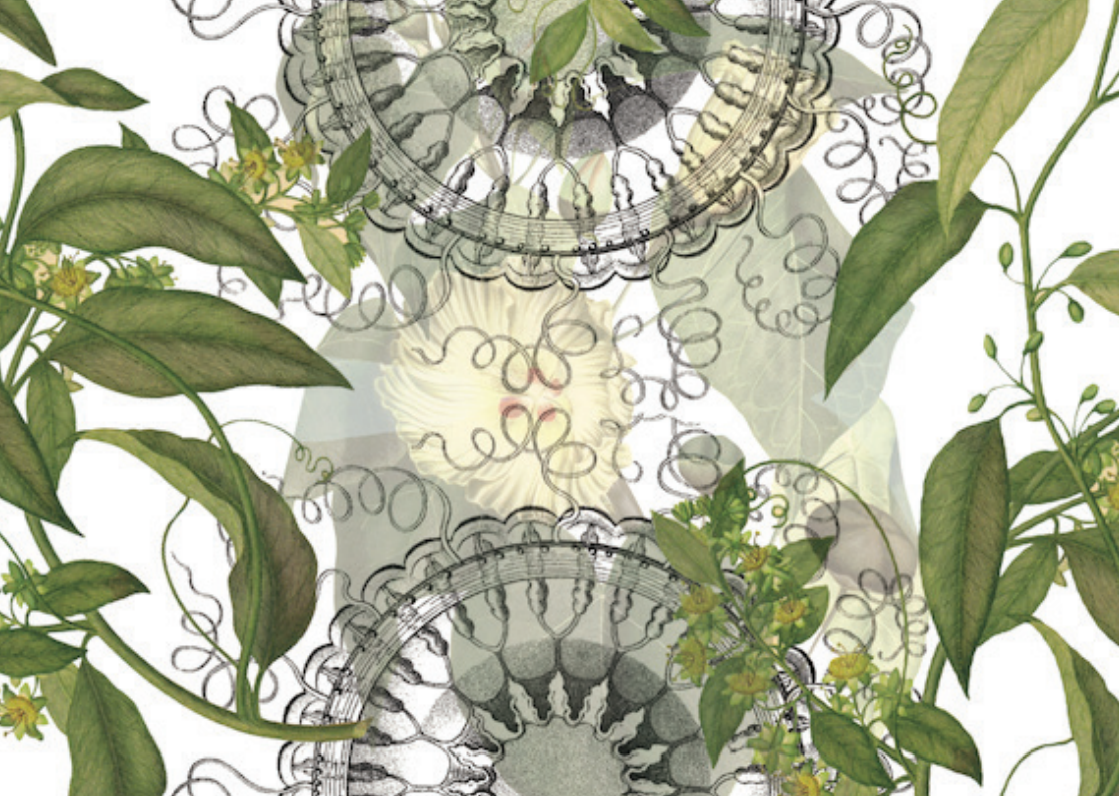 Tablecloths «Kaos» 100% Made in Italy - The Napking