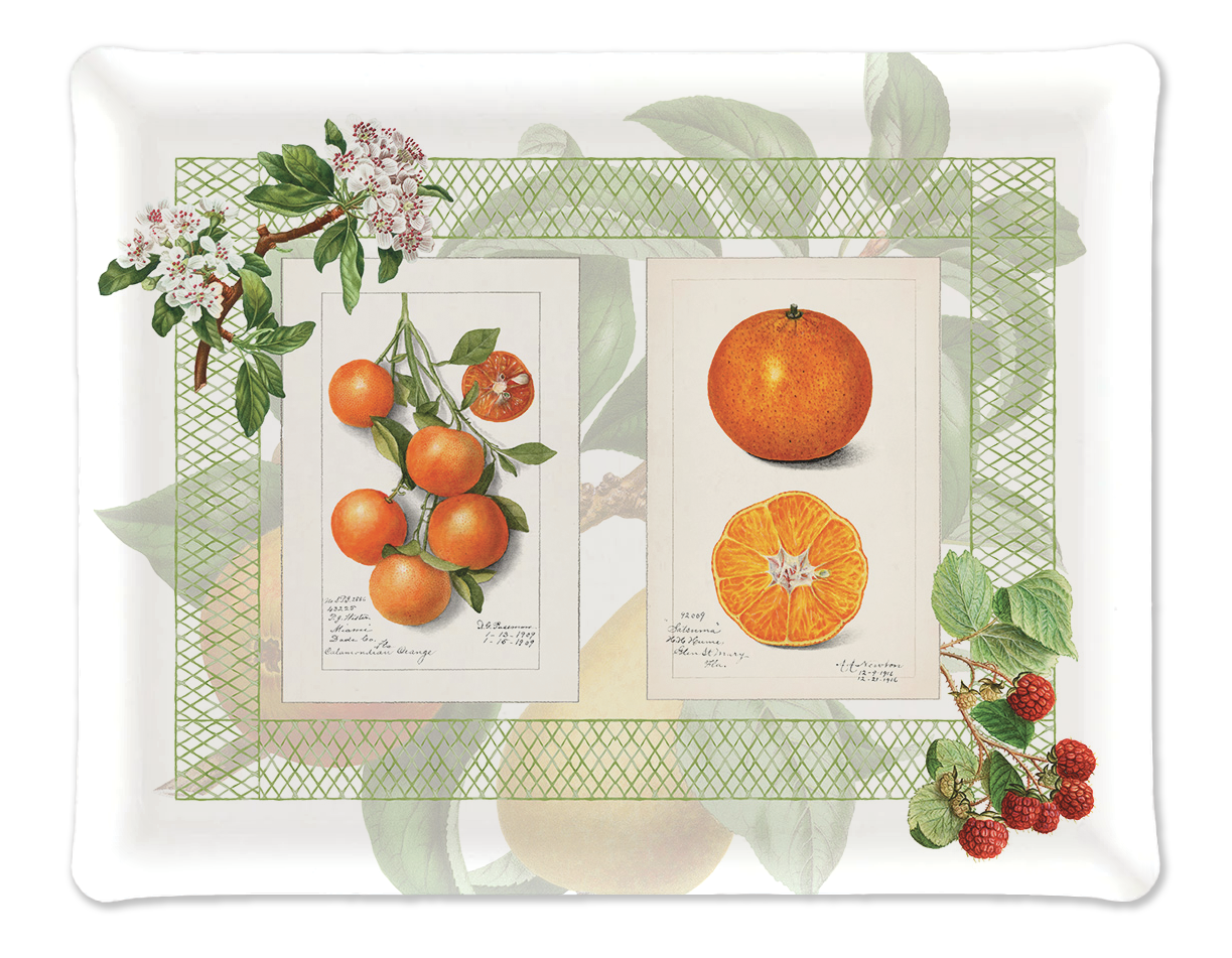 Tray «Summer Fruit», 100% Made in Italy