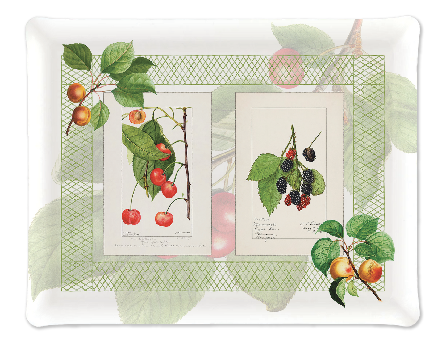 Tray «Summer Fruit», 100% Made in Italy