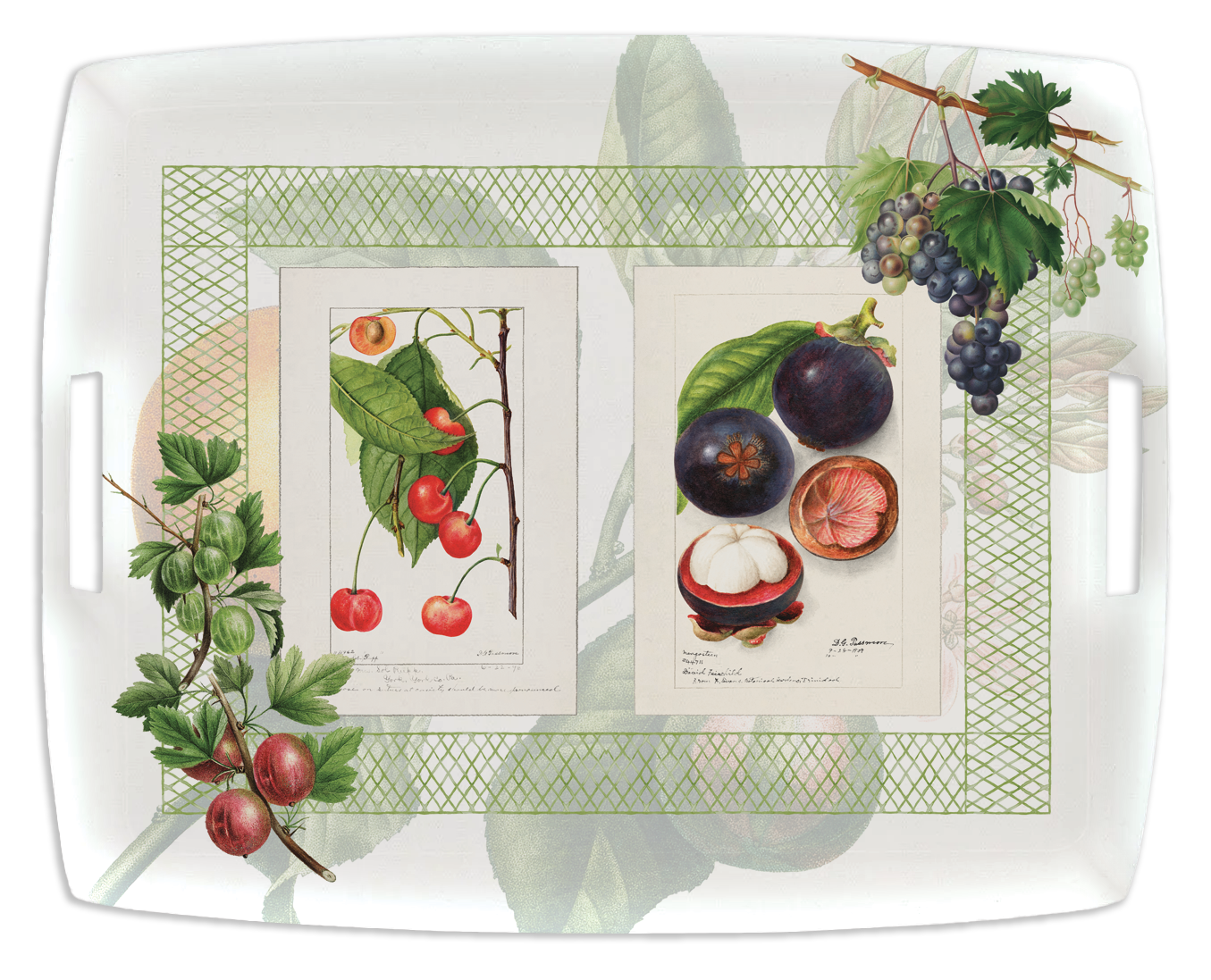Tray «Summer Fruit», 100% Made in Italy