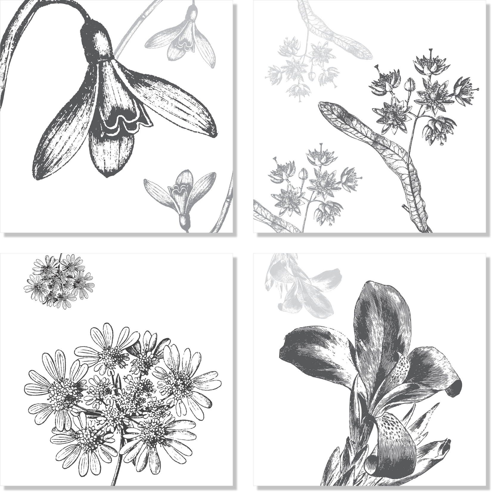 Set of 4 Napkins «Stentor» 100% Made in Italy - The Napking