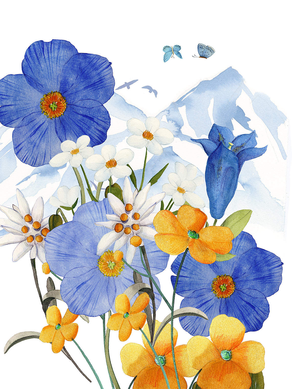 Kitchen Towels «Alpi Flora», 100% Made in Italy