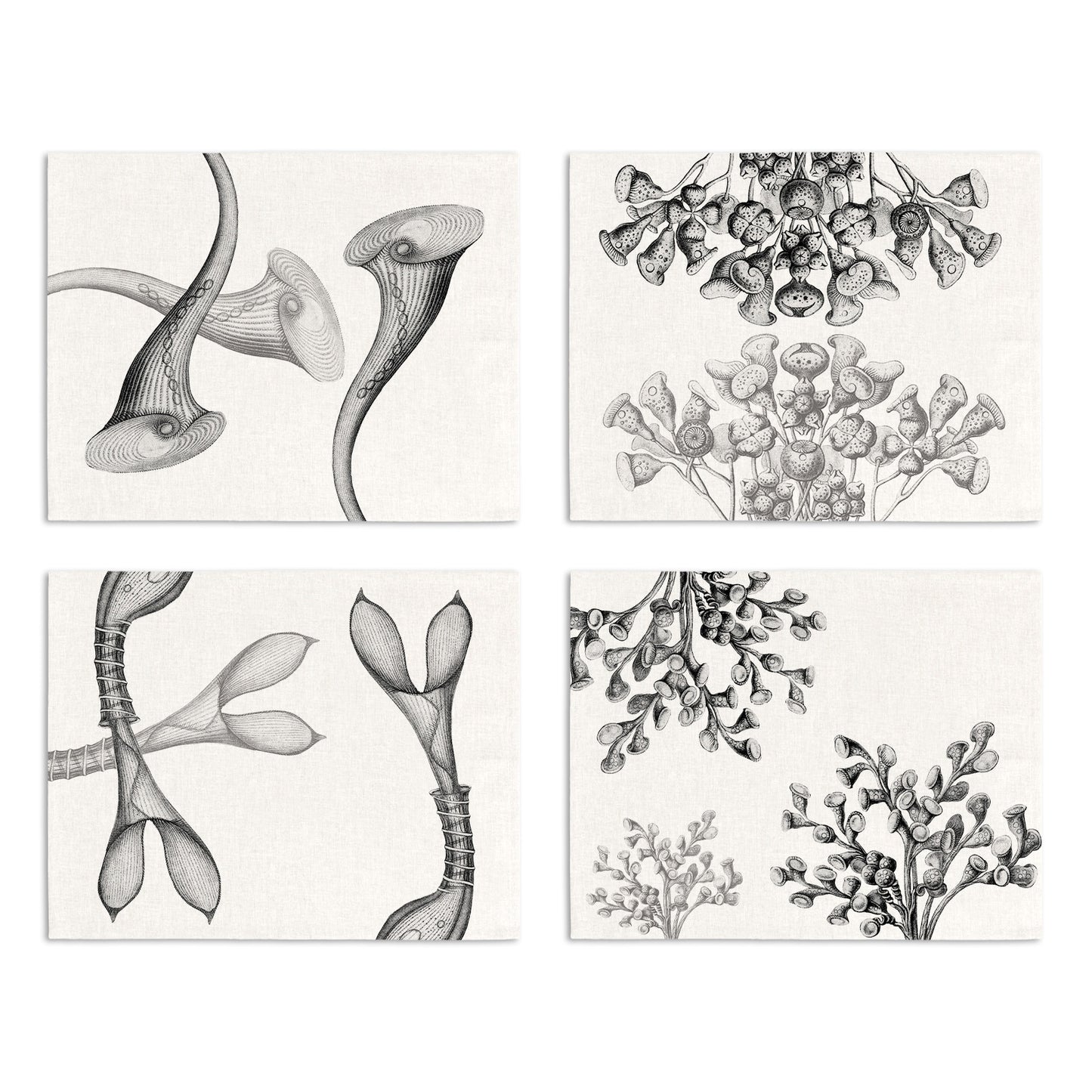 Set of 4 Placemats «Stentor» Linen 100% Made in Italy