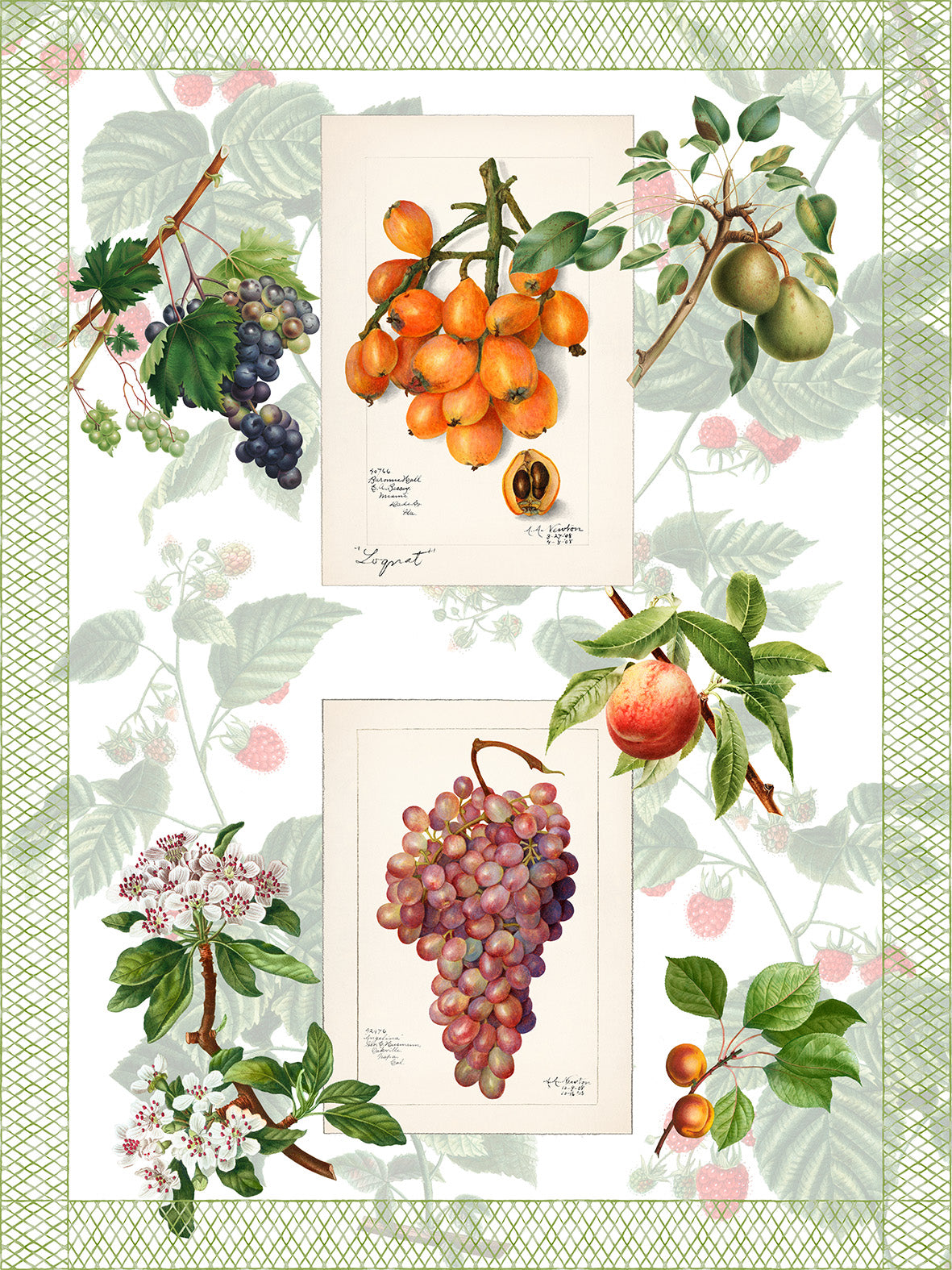 Kitchen Towels «Summer Fruit», 100% Made in Italy