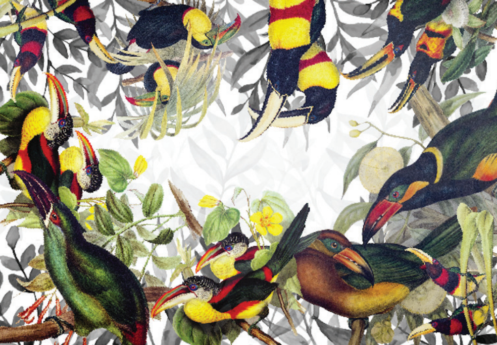 Tablecloths «Toucans» 100% Made in Italy - The Napking