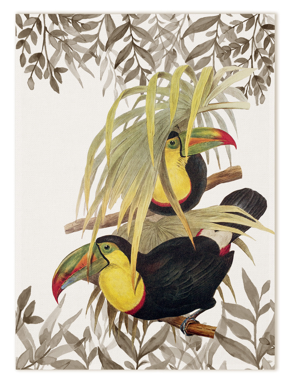 Kitchen Towels «Toucans», 100% Made in Italy