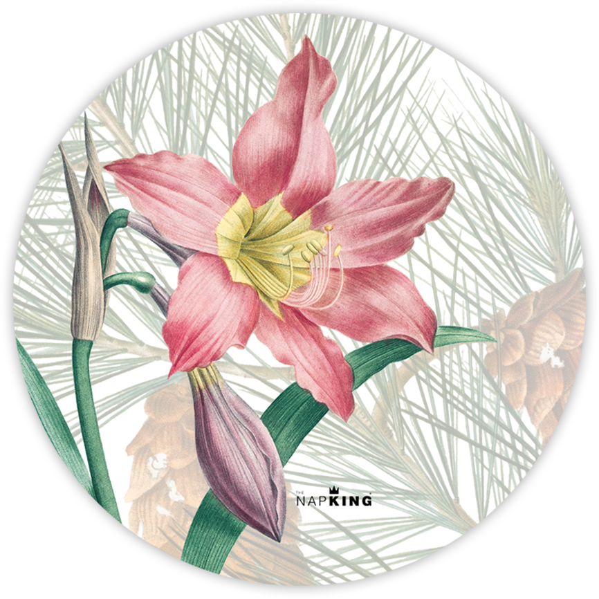 Set of 2 coasters «Winter Garden» wood and cork - 100% Made in Italy