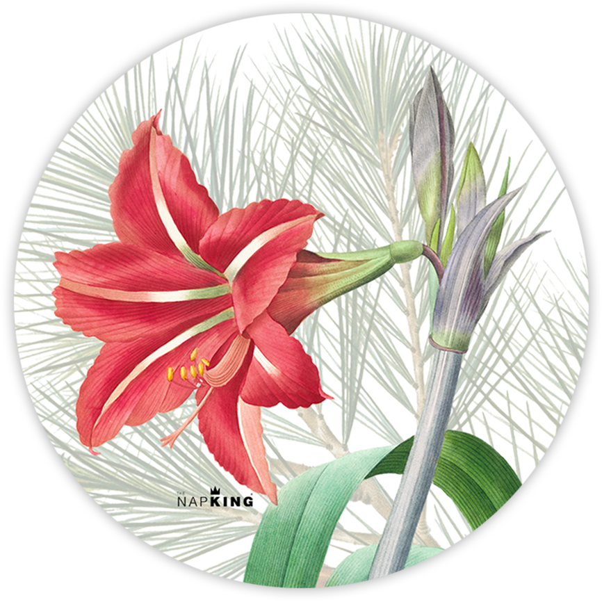 Set of 2 coasters «Winter Garden» wood and cork - 100% Made in Italy