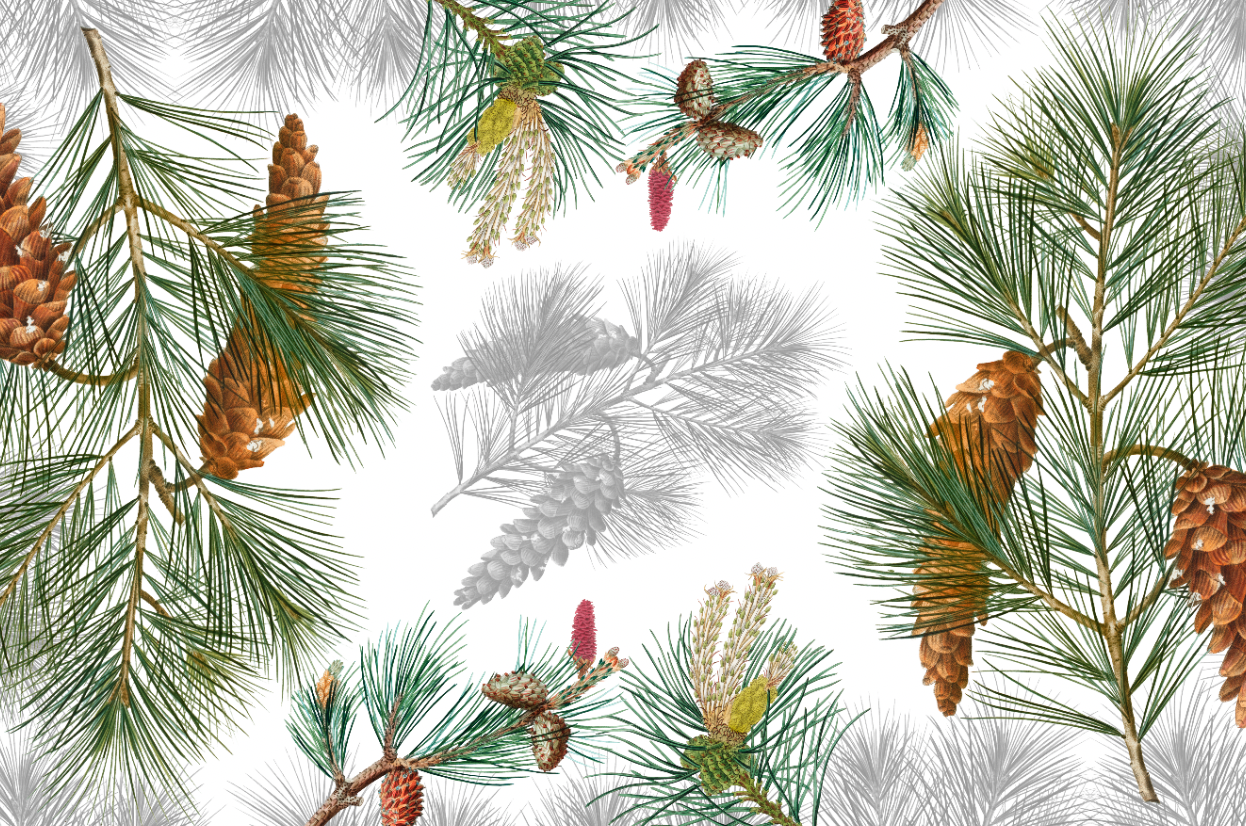 Tablecloths «Le Sapin» 100% Made in Italy - The Napking