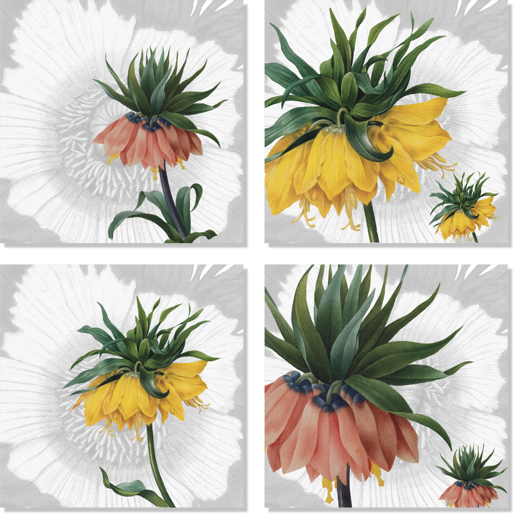 Set of 4 Napkins Fritillaria 100% Made in Italy - The Napking