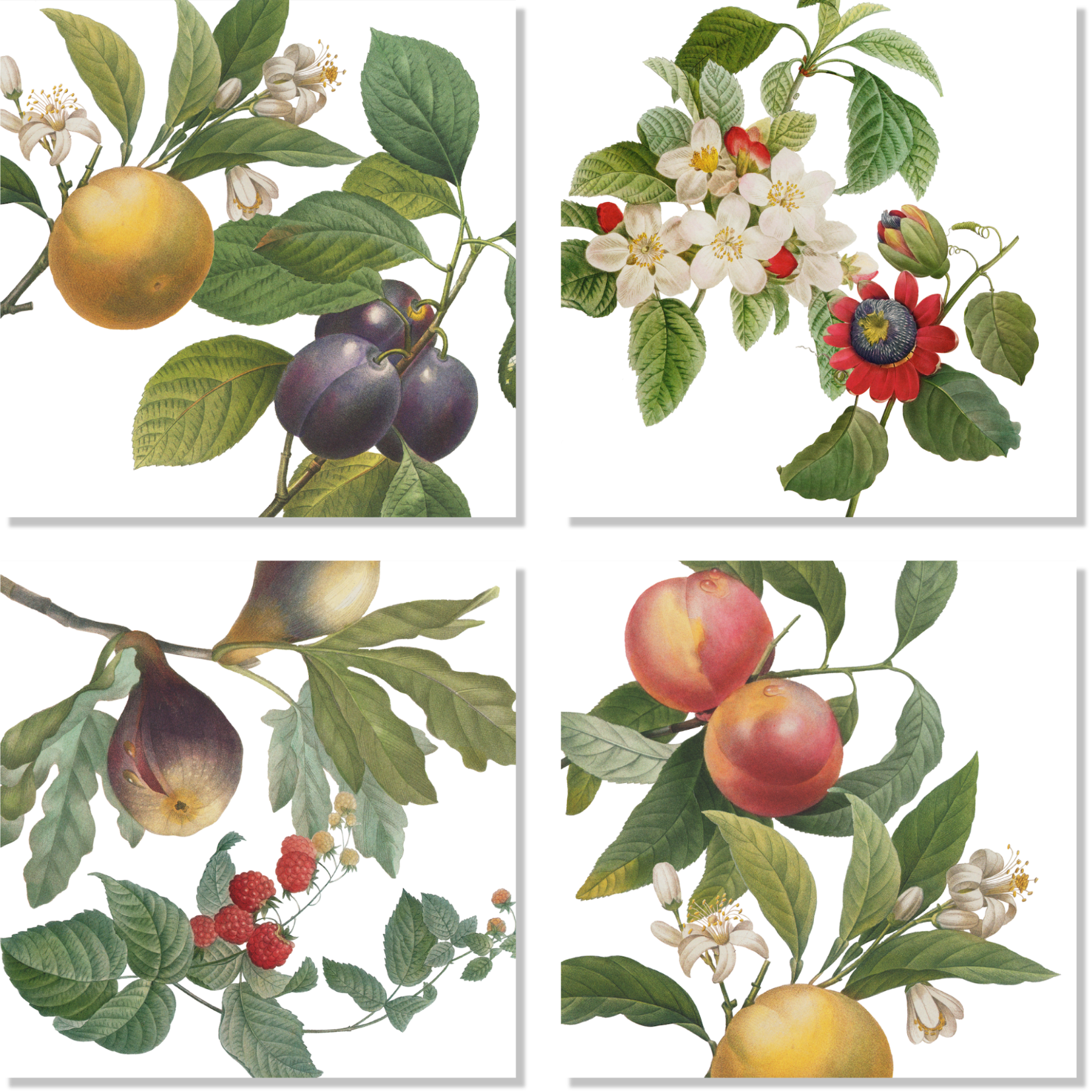 Set of 4 Napkins «Fruit Love» 100% Made in Italy - The Napking