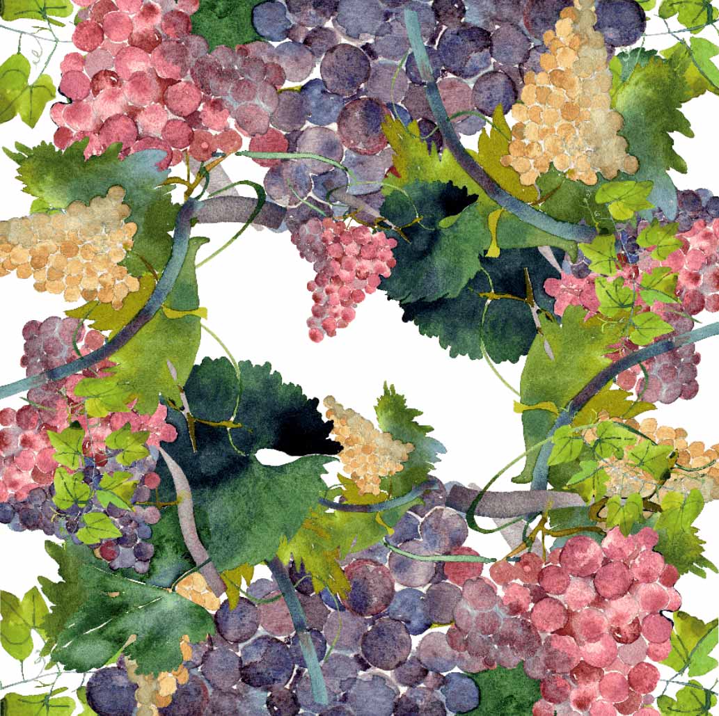 Tablecloths «Grapes» 100% Made in Italy - The Napking