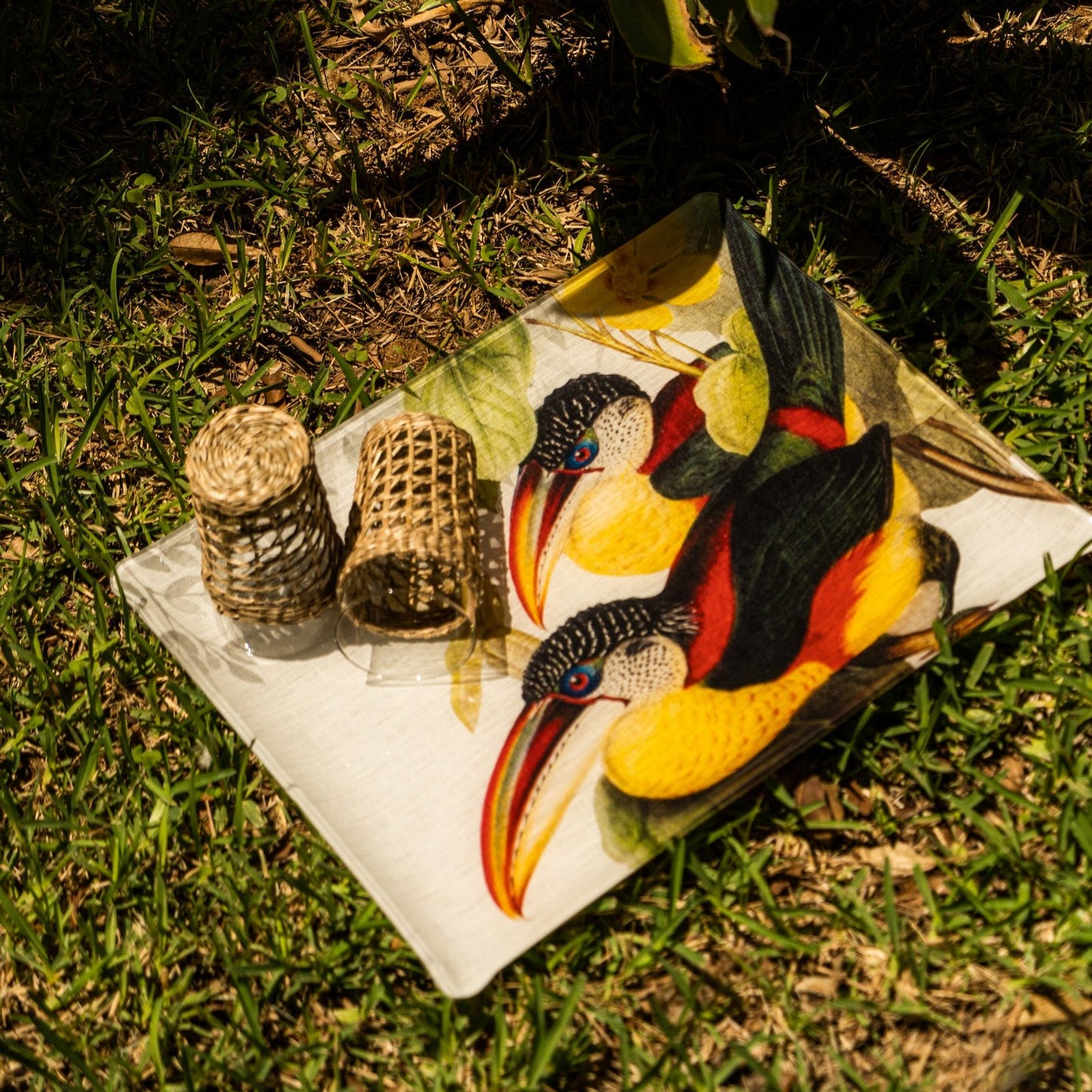 Tray «Toucans», 100% Made in Italy