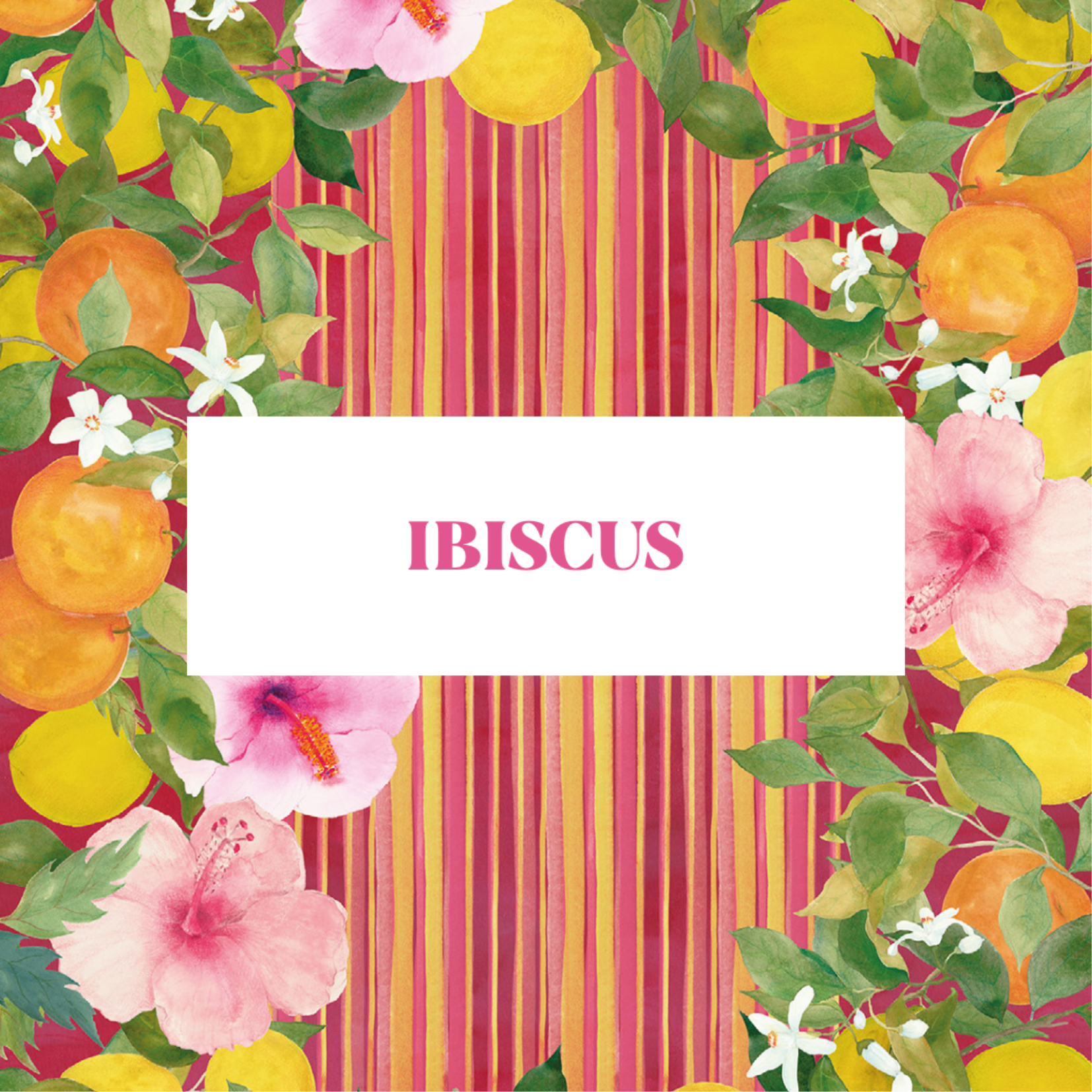 IBISCUS