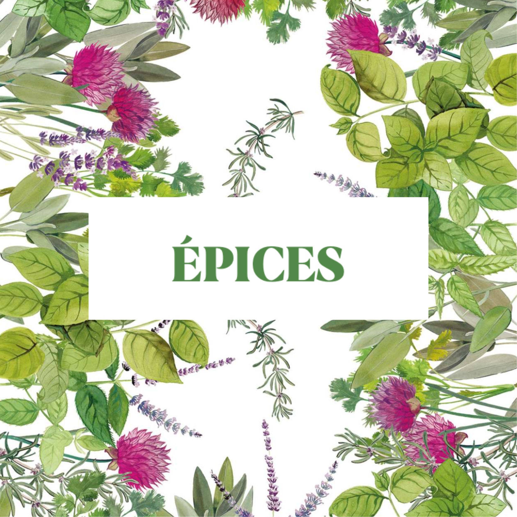 ÉPICES