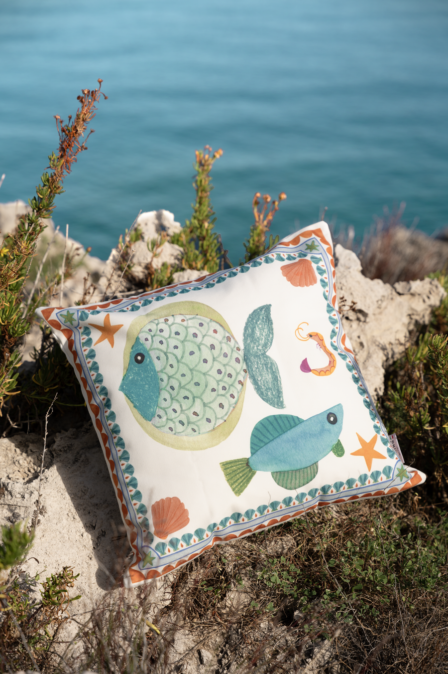 Canvas Cushions
