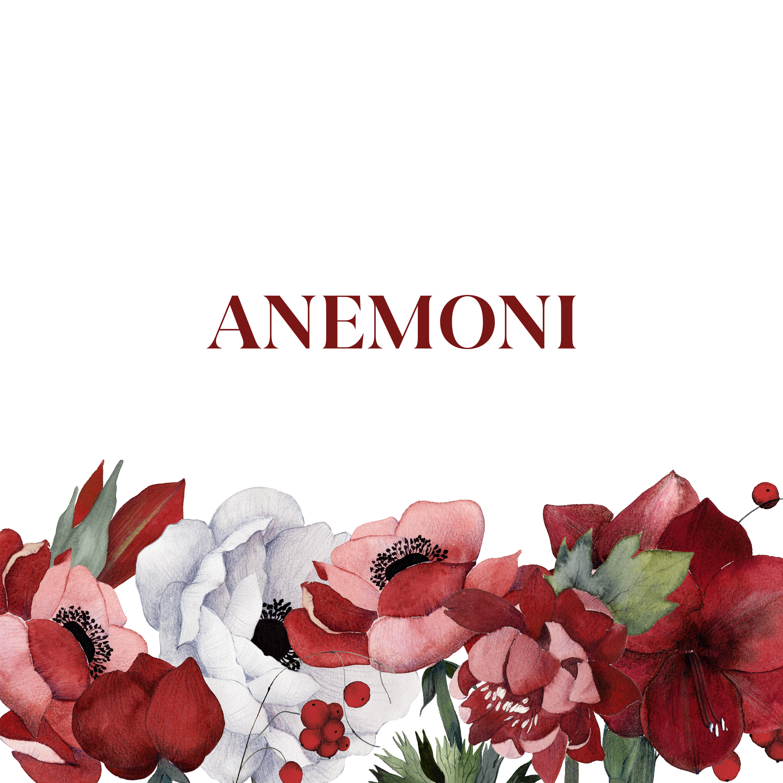 Anemoni - The Napking