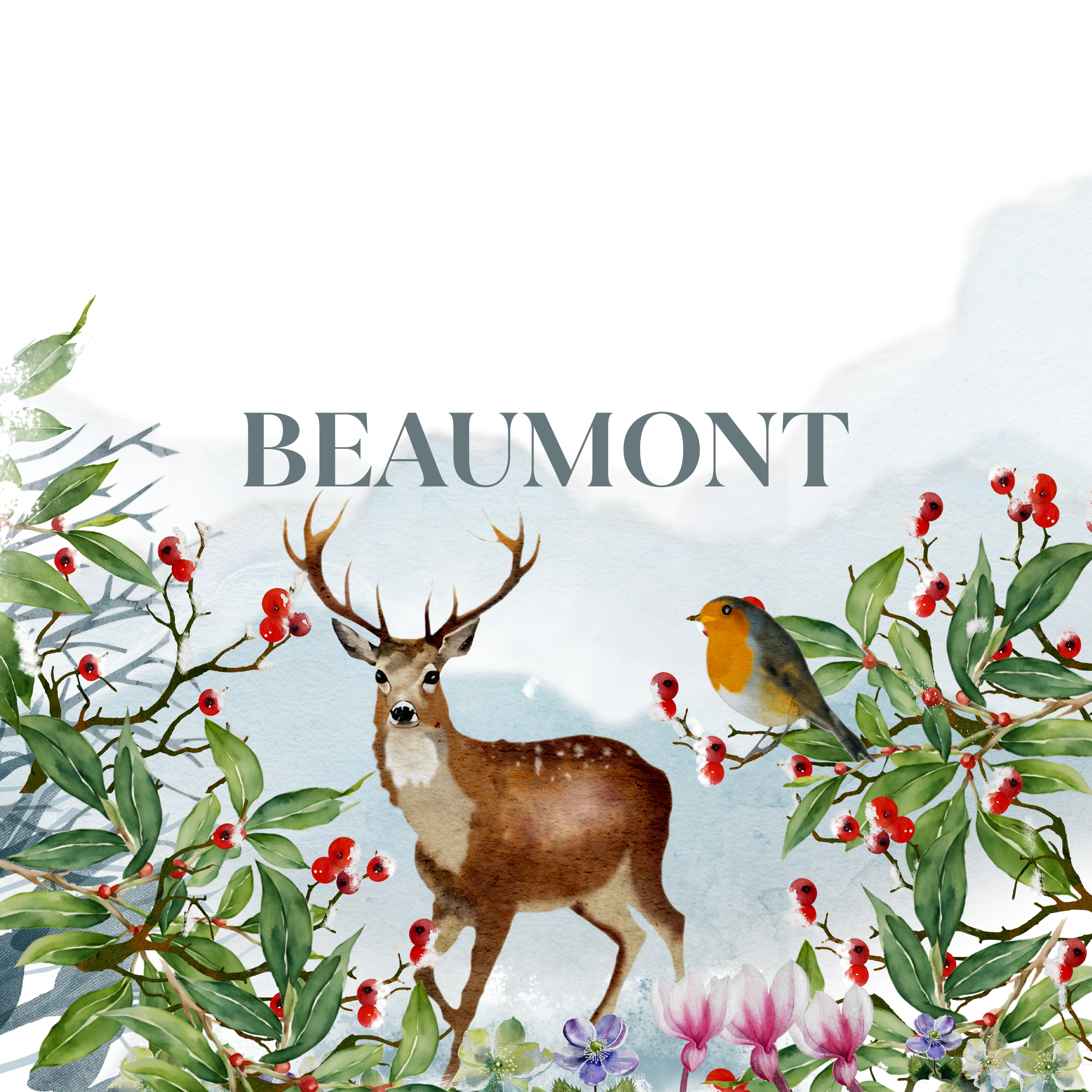 Beaumont - The Napking
