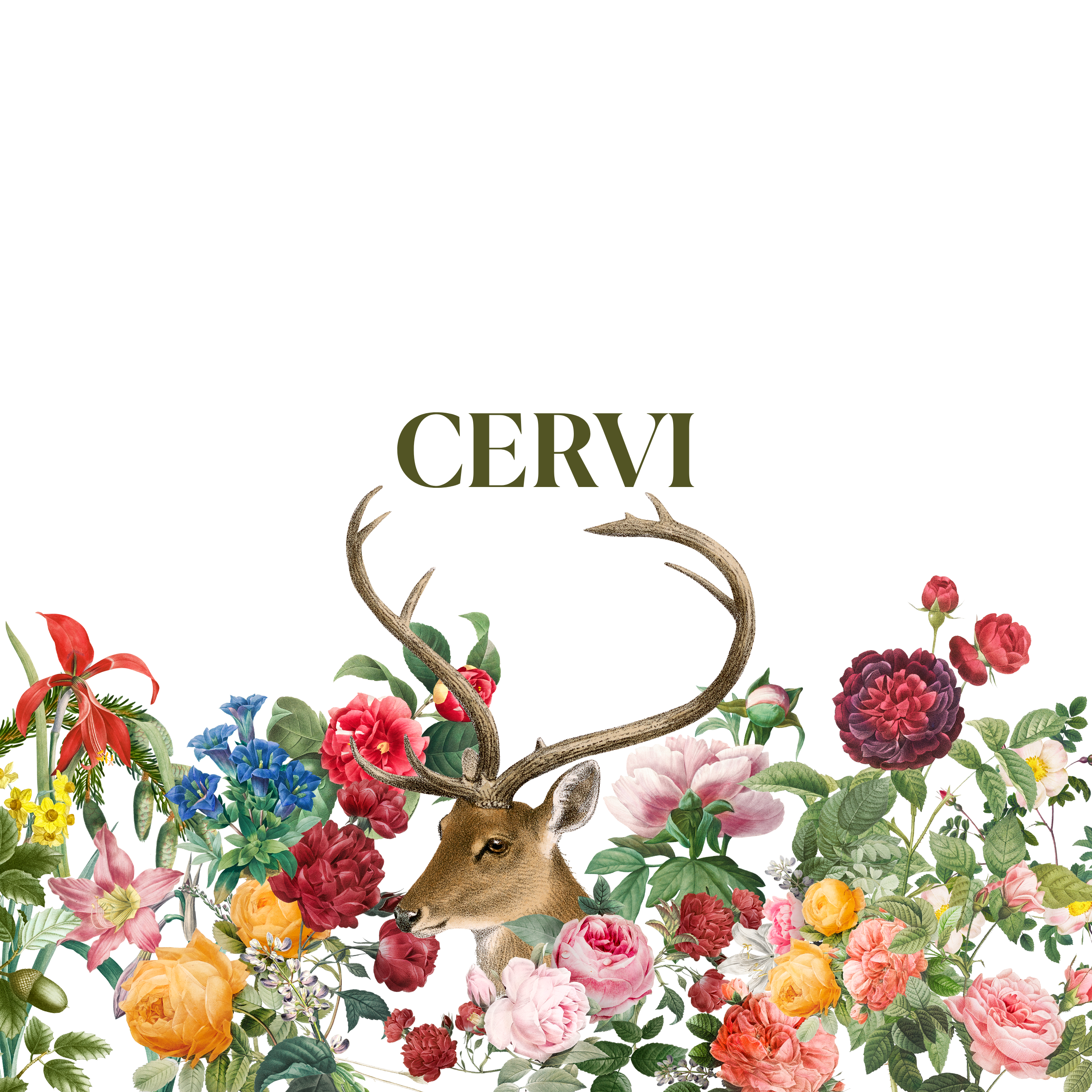 Cervi - The Napking