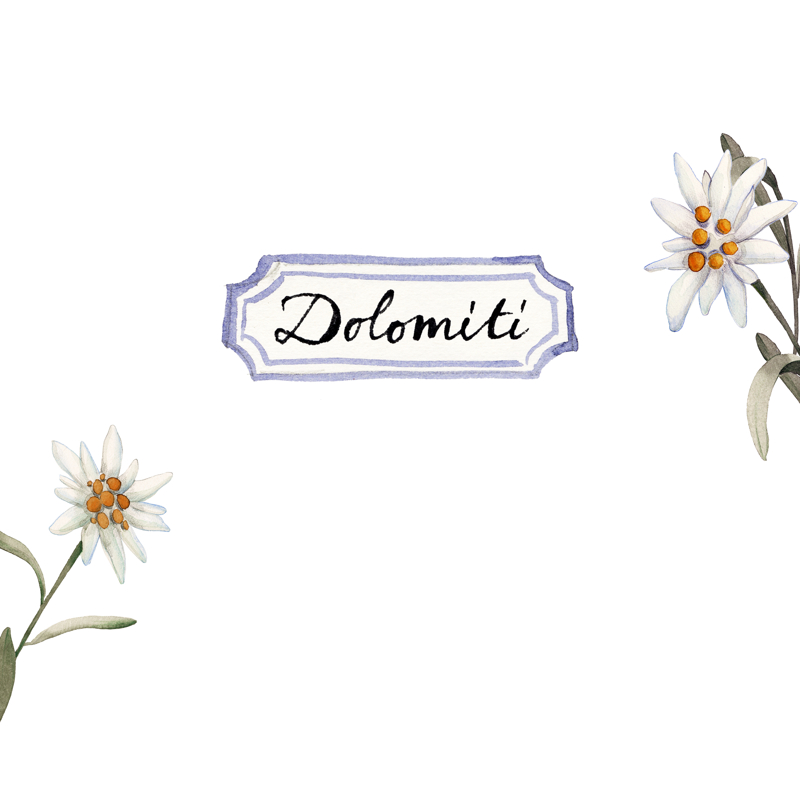 Dolomiti - The Napking