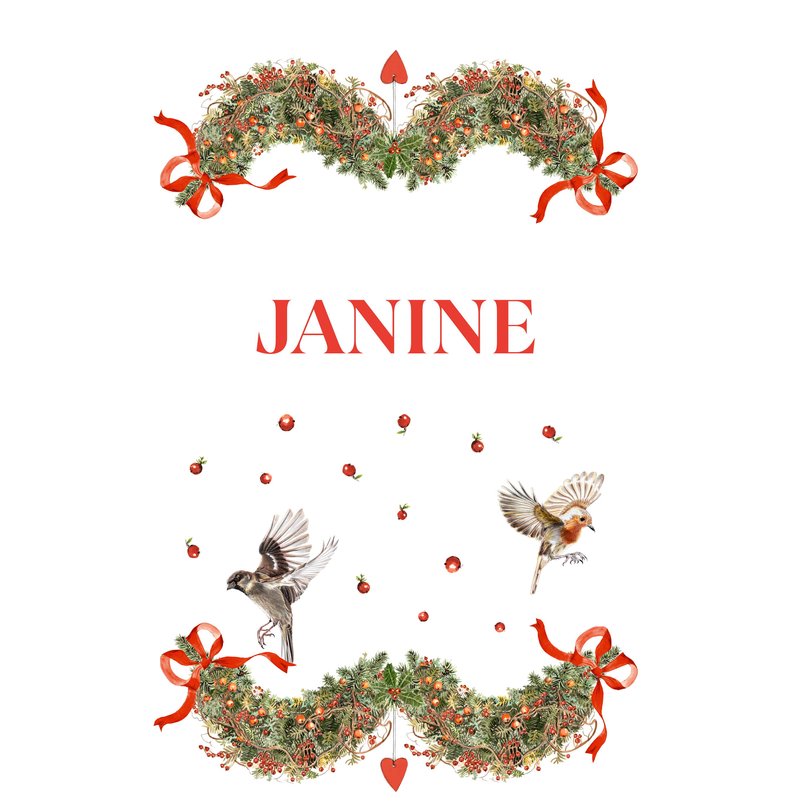 Janine - The Napking