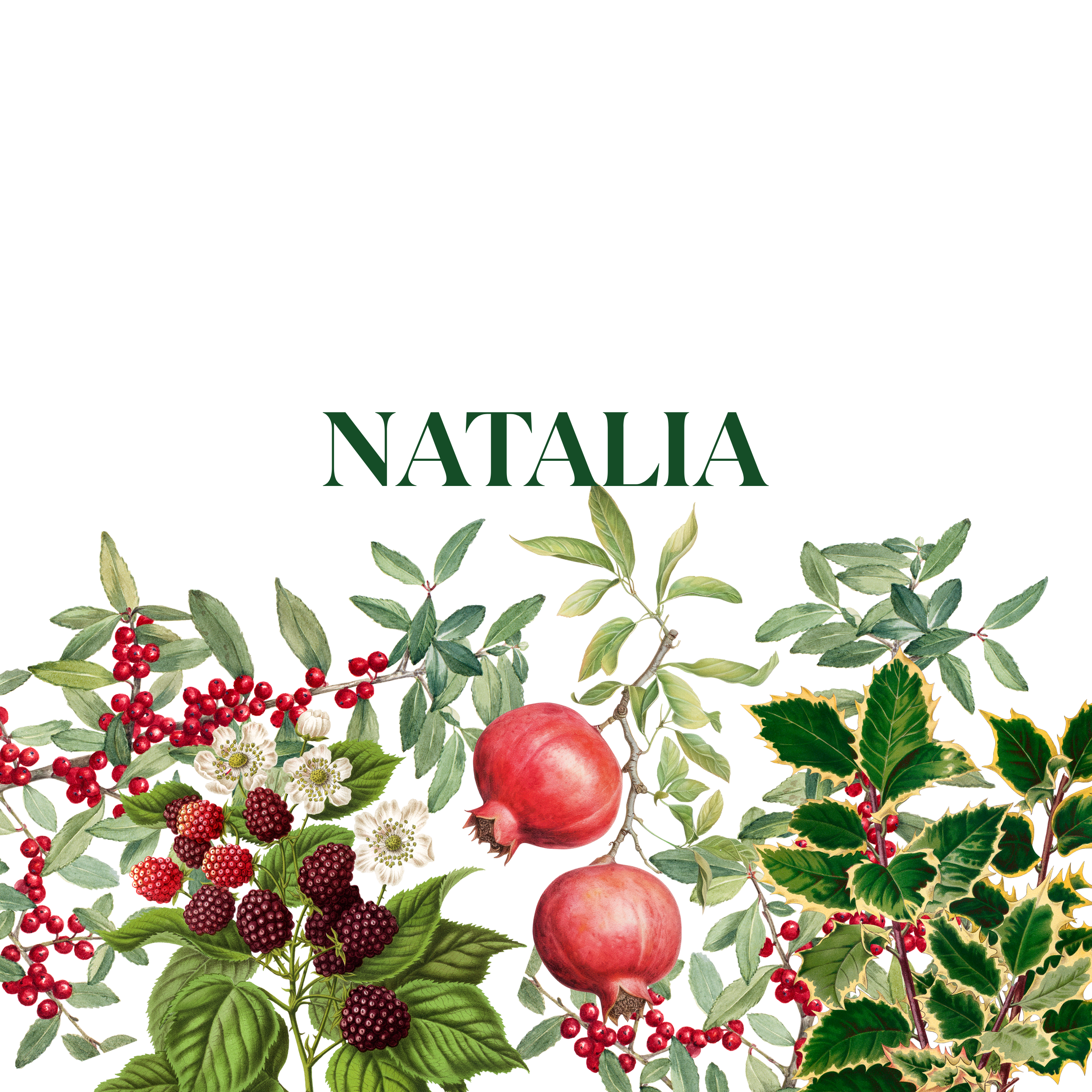 Natalia - The Napking