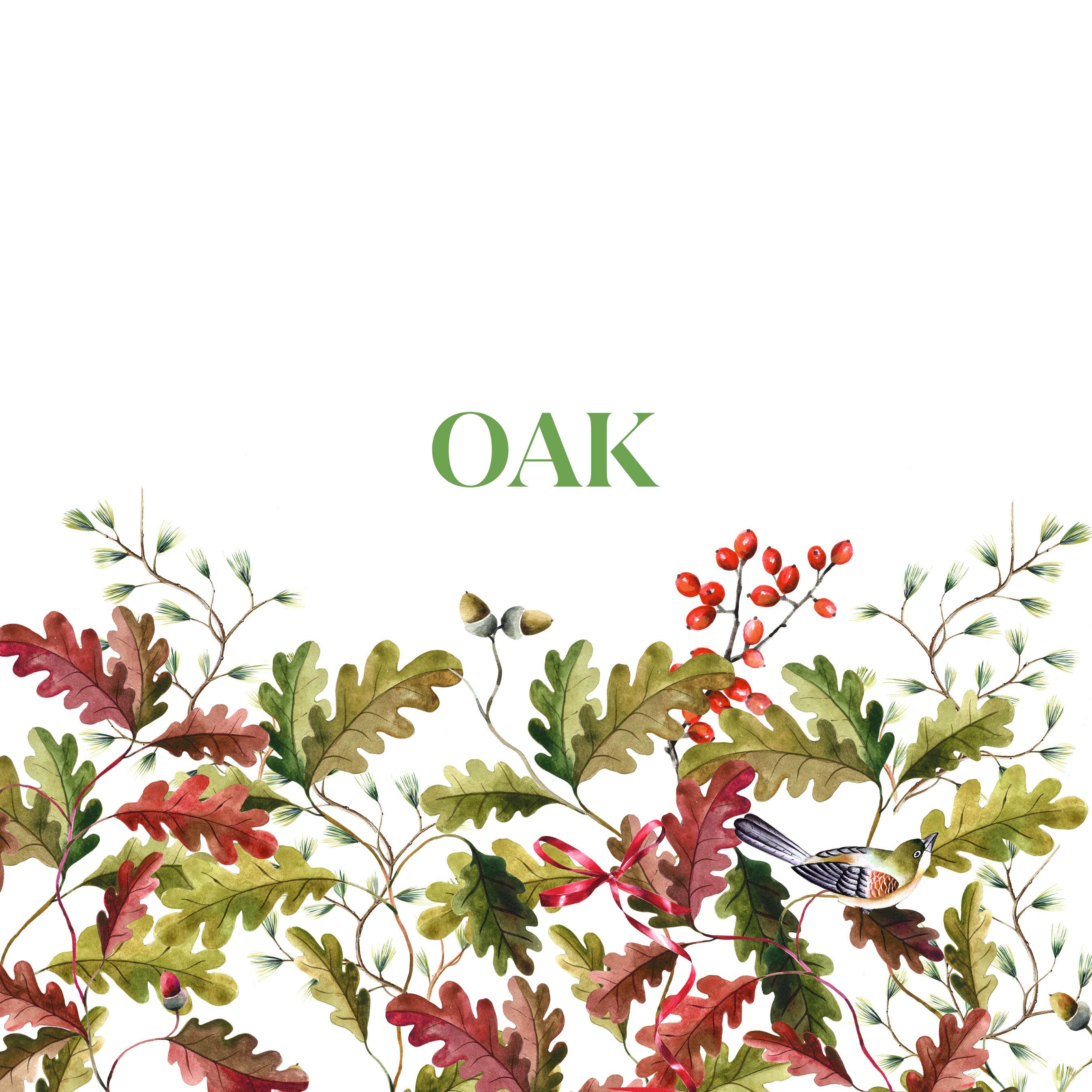 Oak - The Napking