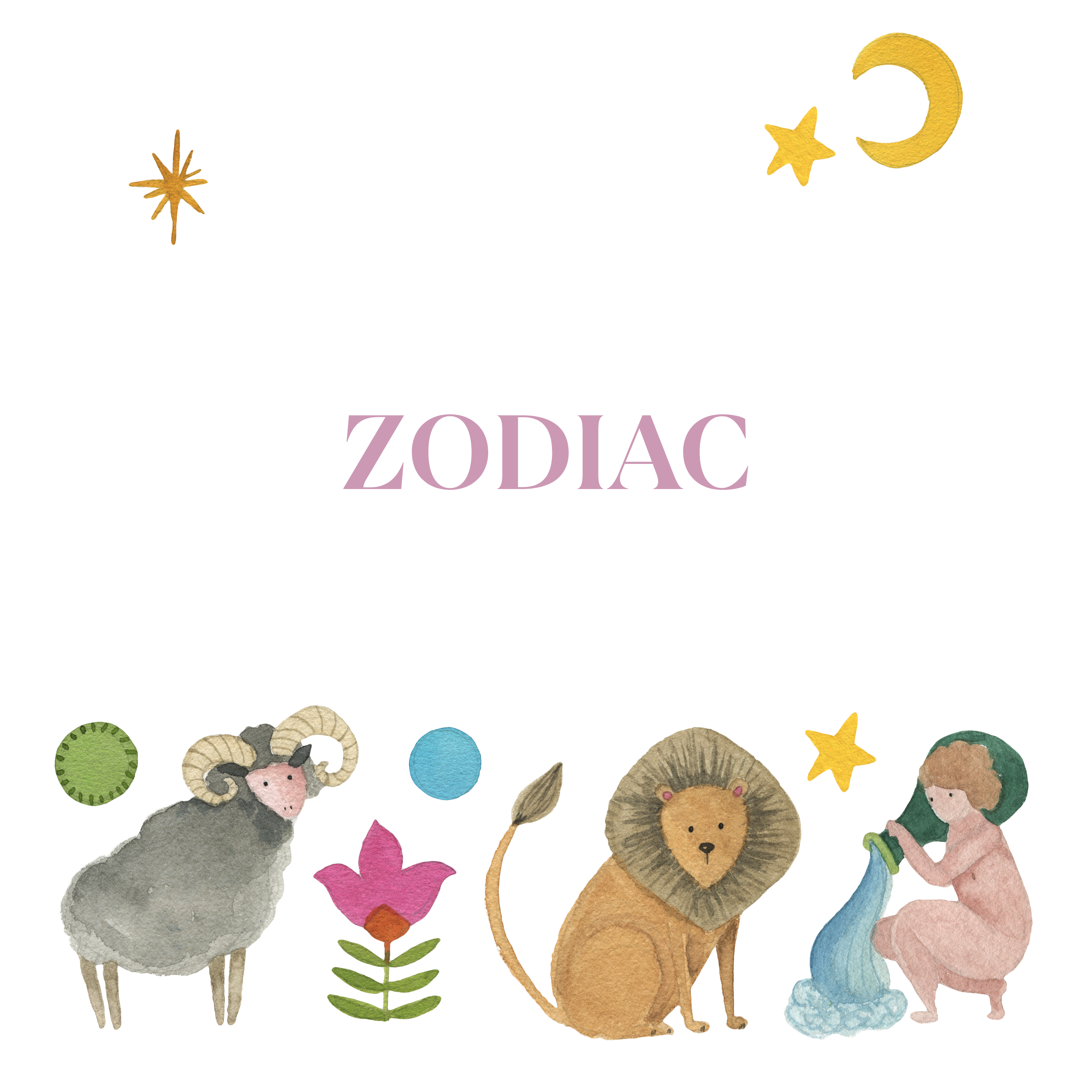 Zodiac - The Napking
