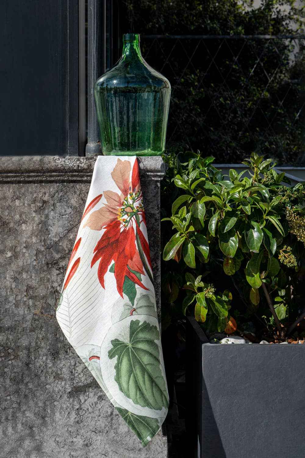 Kitchen Towels «Poinsetta», 100% Made in Italy - The Napking