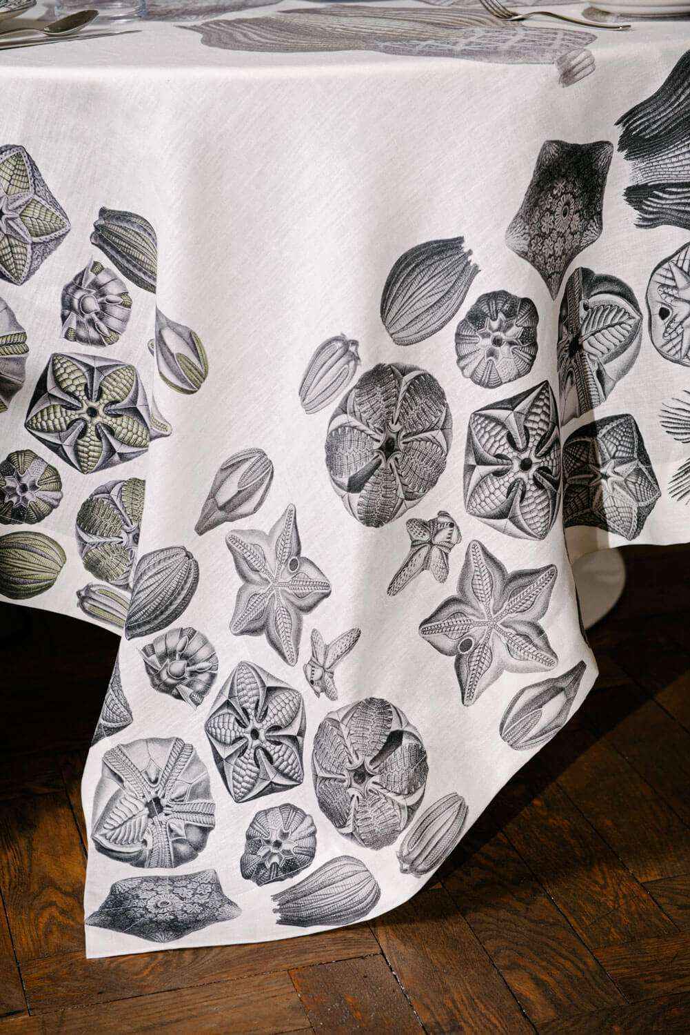 Linen Tablecloths Blastoidea 100% Made in Italy - The Napking