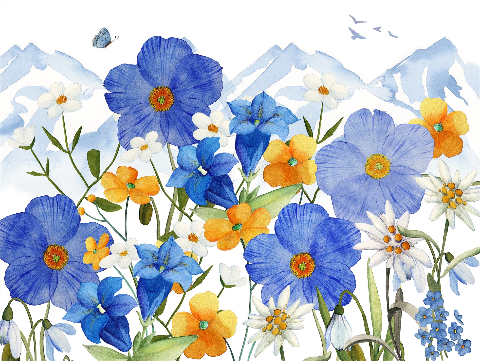 Set of 2 rectangular hardboard placemats «Alpi flora», 100% Made in Italy - The Napking