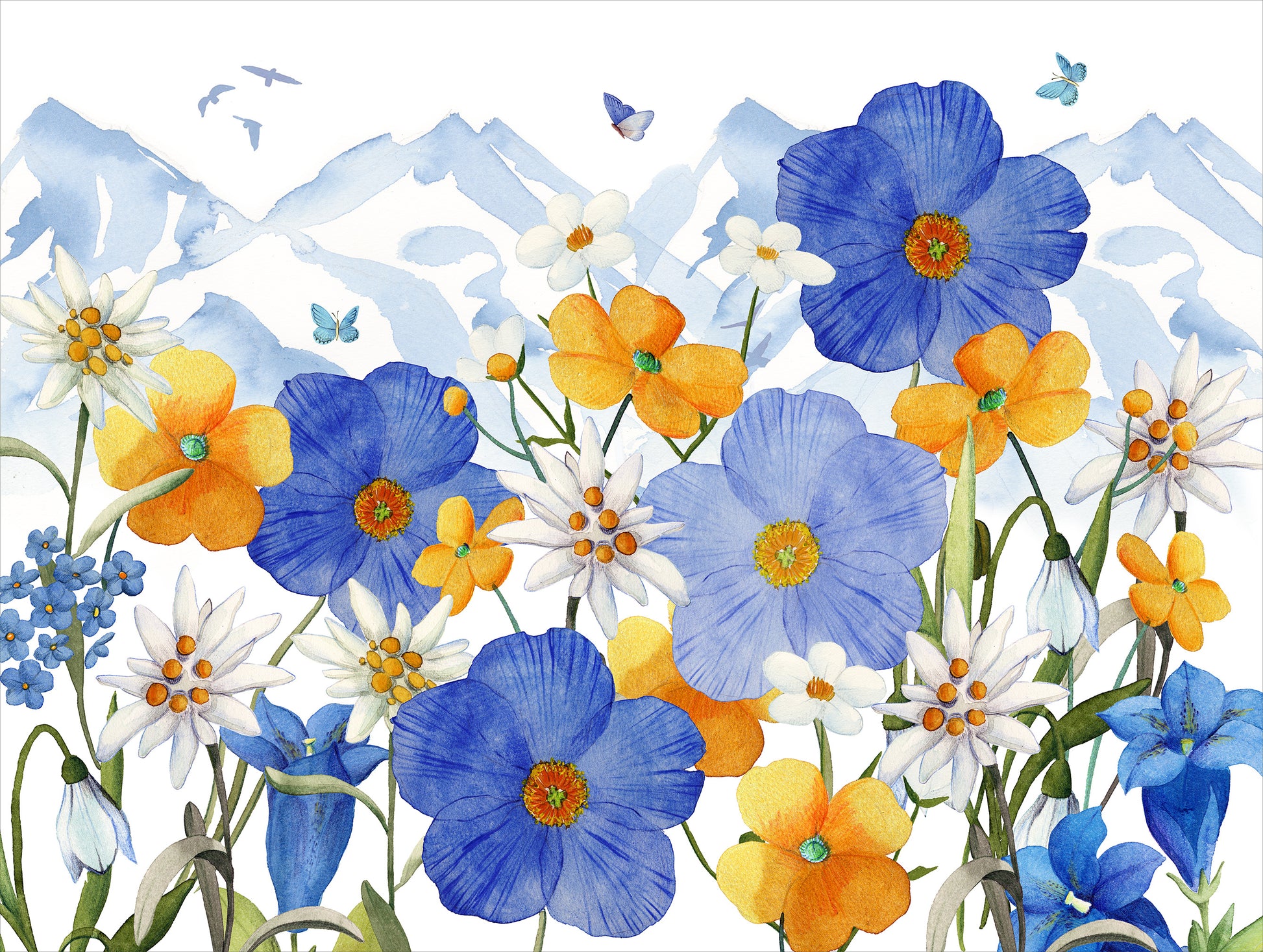 Set of 2 rectangular hardboard placemats «Alpi flora», 100% Made in Italy - The Napking