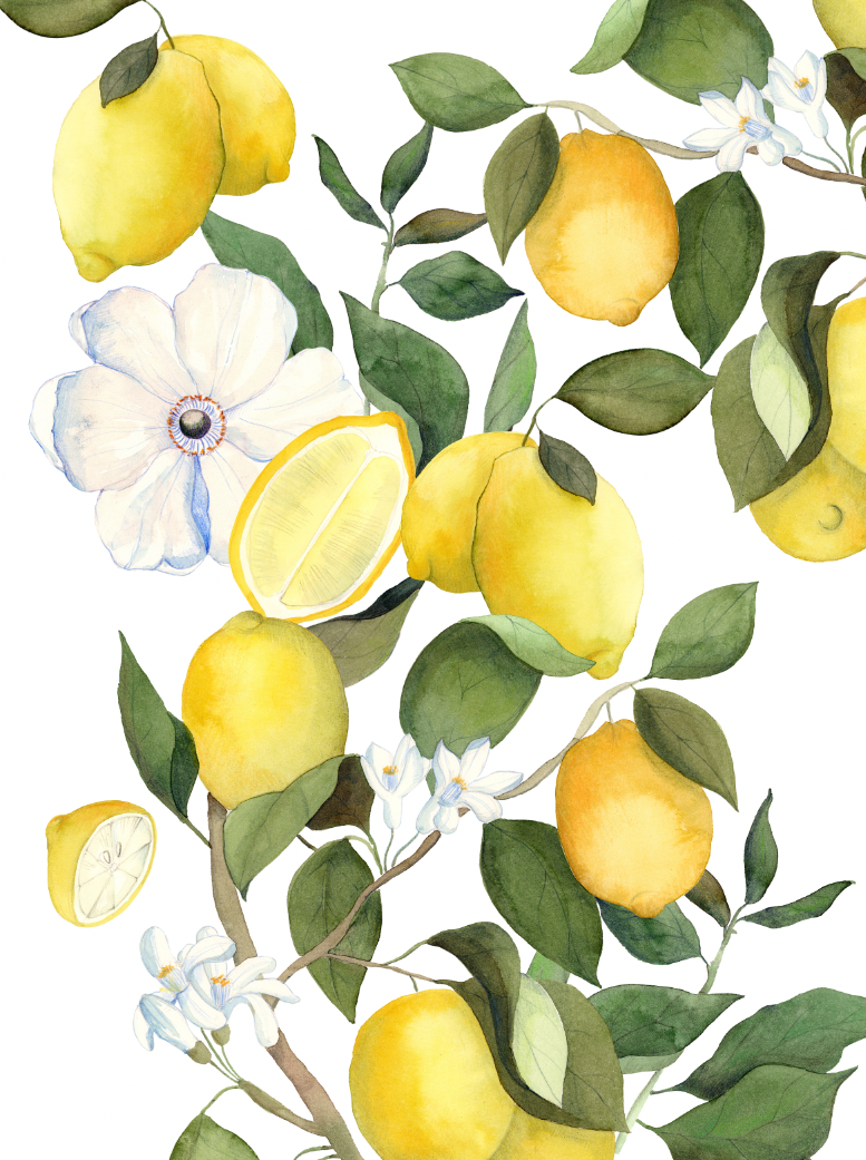 Kitchen Towels Amalfi 100% Made in Italy