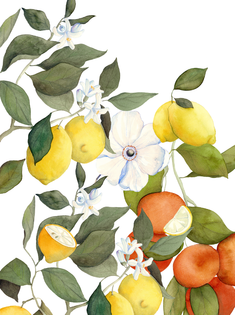 Kitchen Towels Amalfi 100% Made in Italy