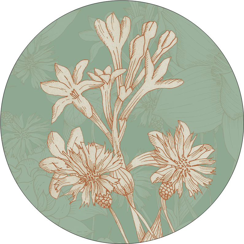 Set of 2 coasters  «Amelie» wood and cork - 100% Made in Italy - The Napking