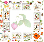 Nappe en lin «Anselmus» 100% Made in Italy The Napking