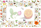 Nappe en lin «Anselmus» 100% Made in Italy The Napking