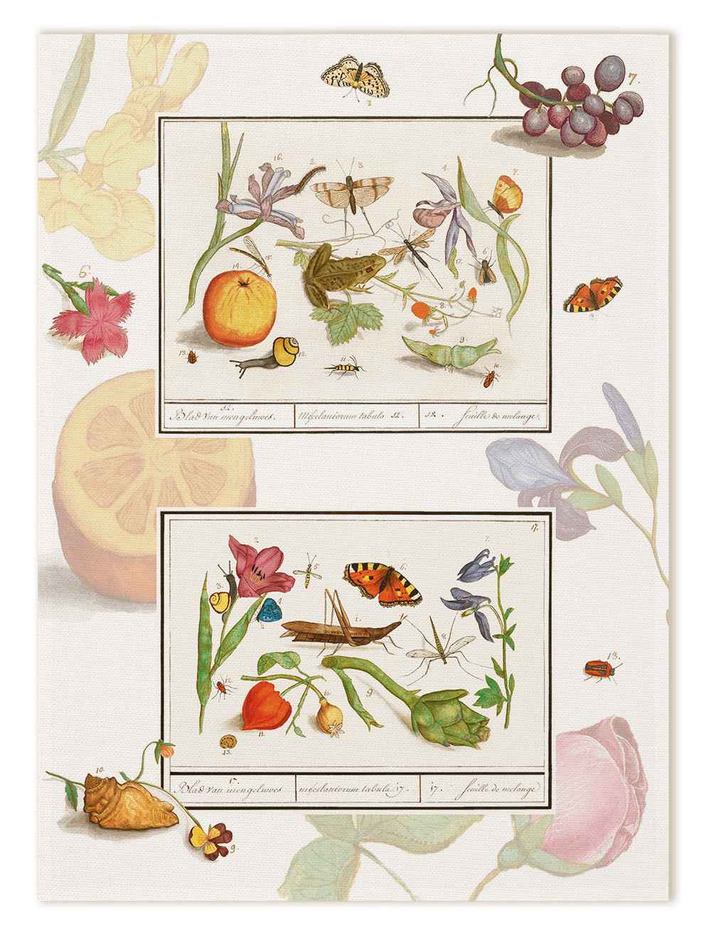 Kitchen Towels «Anselmus», 100% Made in Italy - The Napking