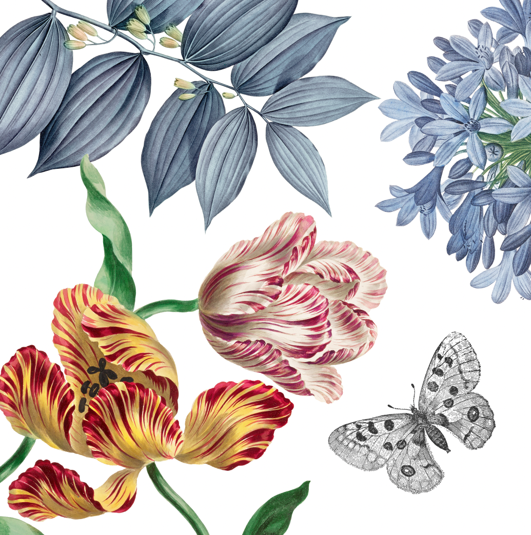 Cushion Bagatelle 100% Made in Italy - The Napking