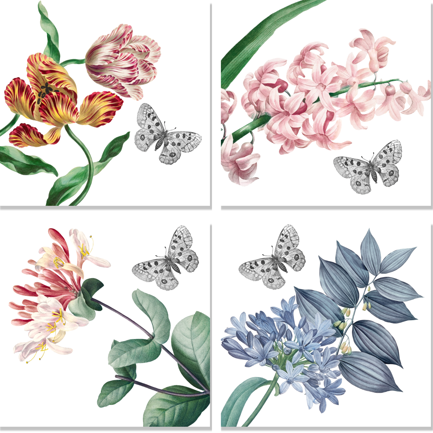 Set of 4 Napkins Satin Bagatelle 100% Made in Italy - The Napking